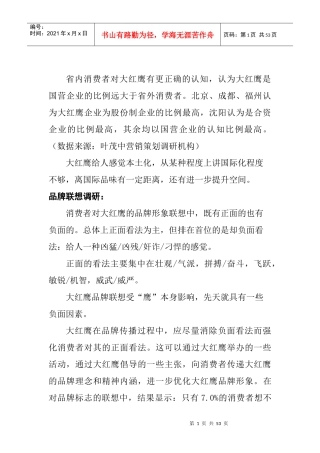 大红鹰品牌的营销策划