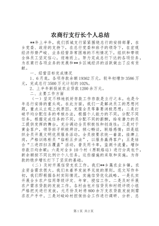 农商行支行长个人总结