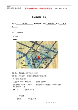 东城攻略销售报告