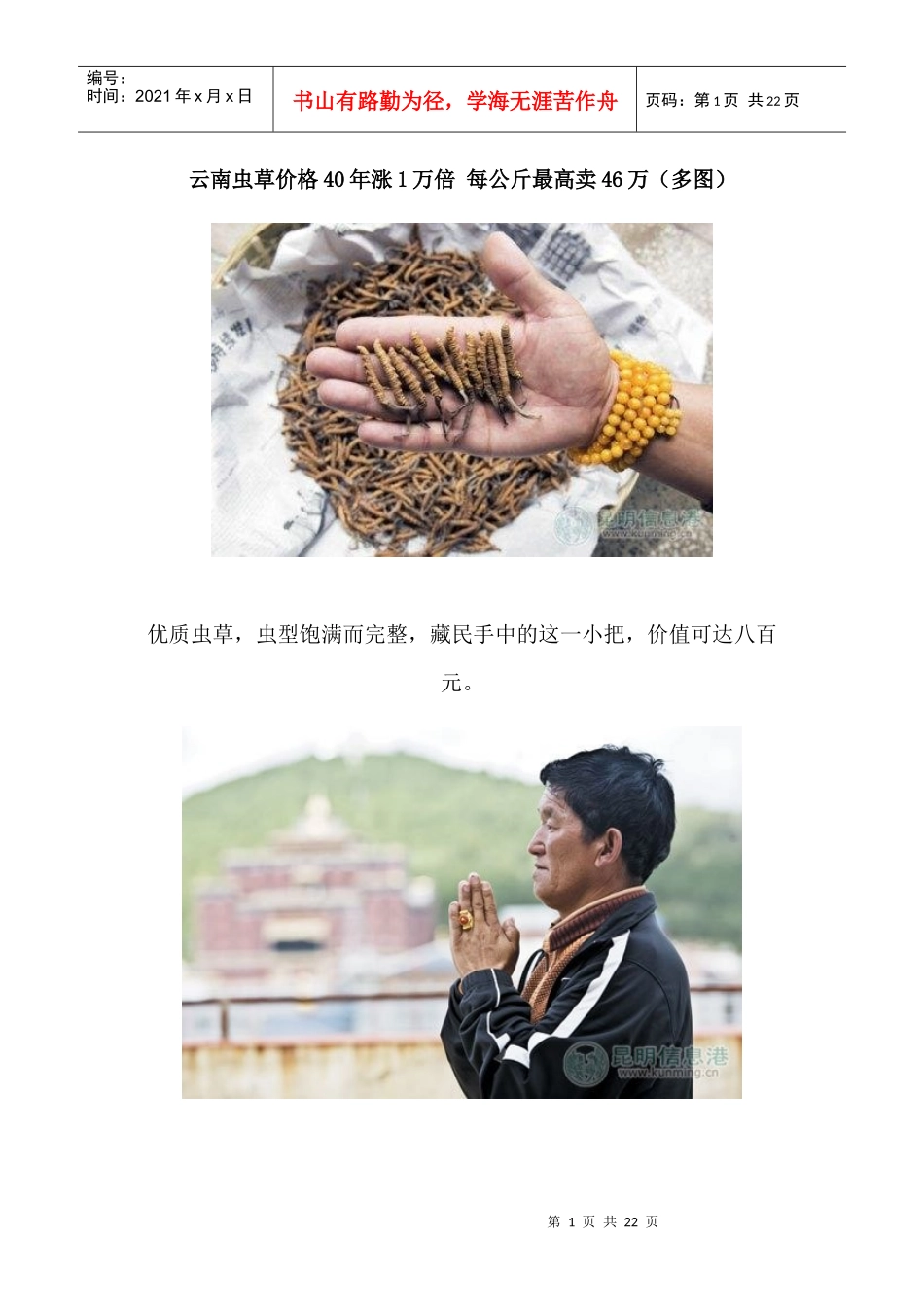 云南虫草价格40年涨1万倍每公斤最高卖46万（多图）_第1页