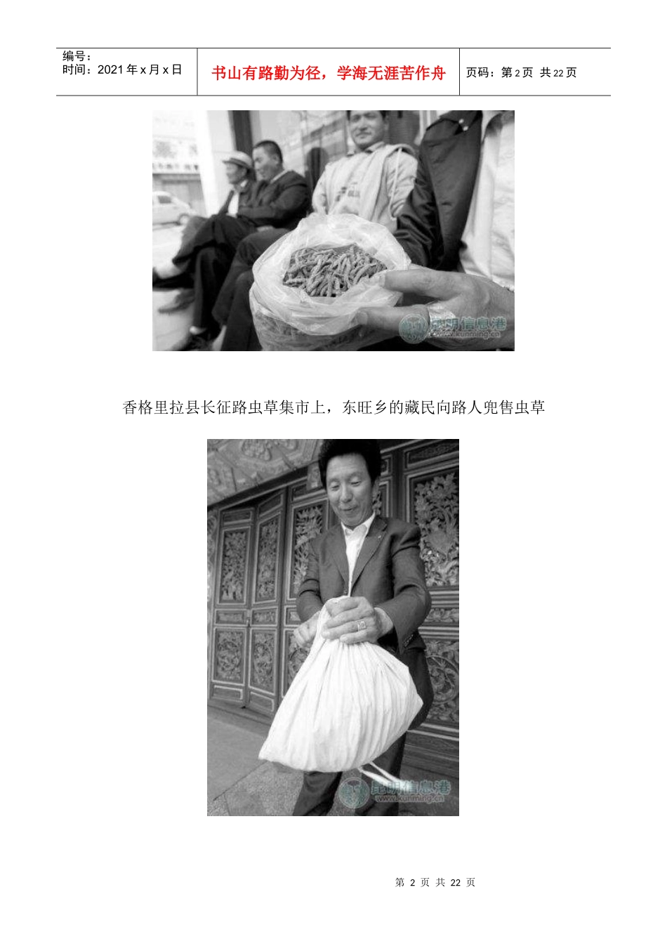 云南虫草价格40年涨1万倍每公斤最高卖46万（多图）_第2页