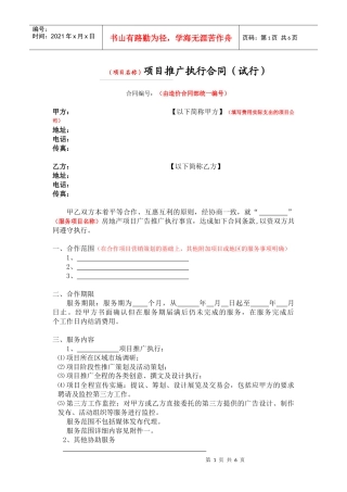 广告推广执行合同模板s