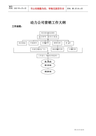 DLYX1.1动力公司营销工作大纲(DOC23页)