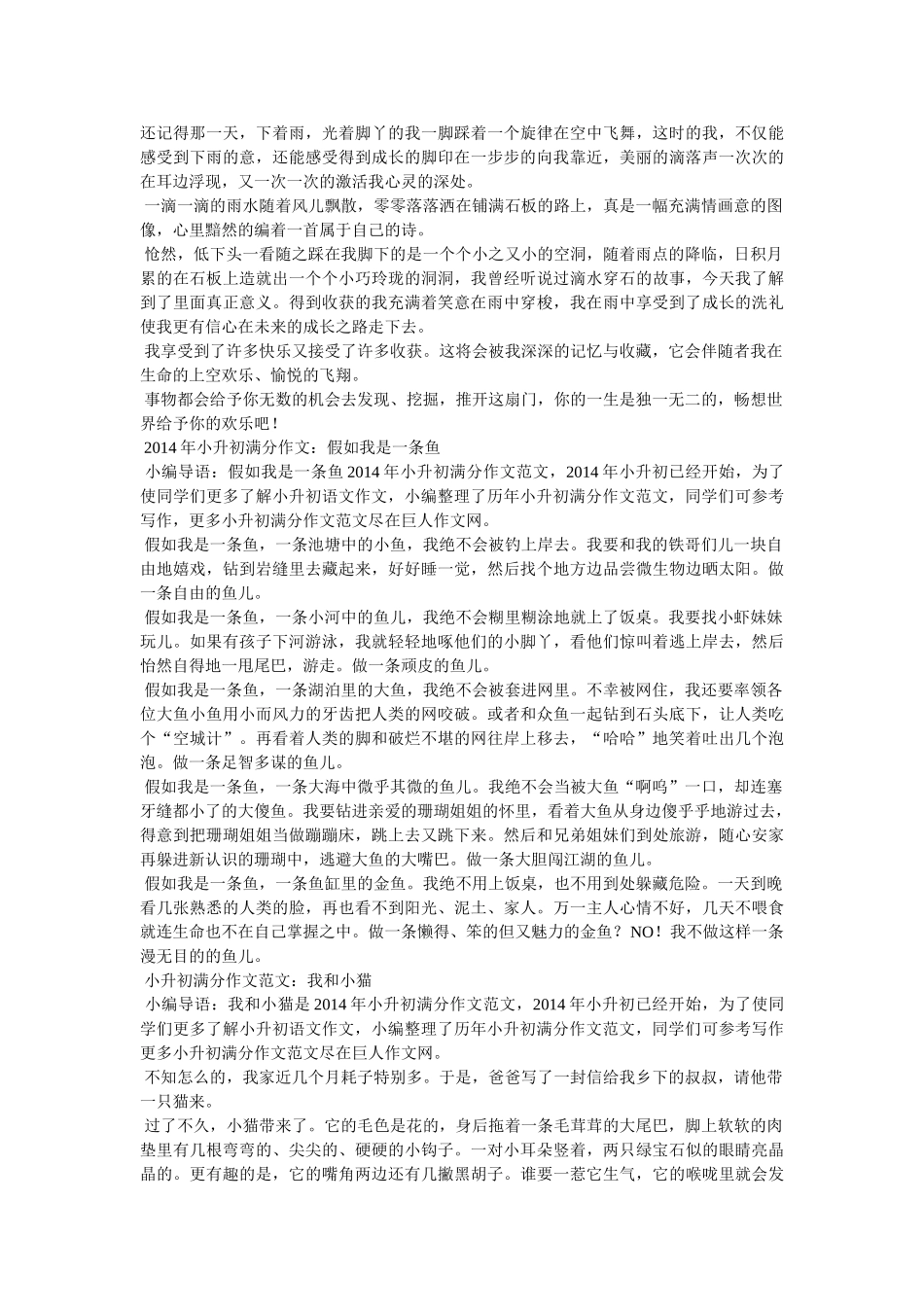 小升初满分作文 _第3页