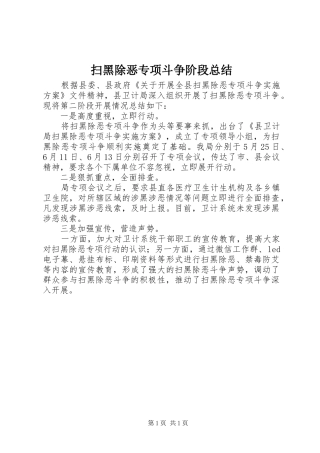 扫黑除恶专项斗争阶段总结