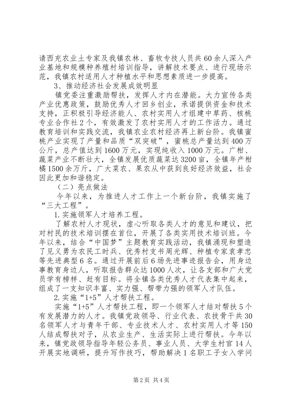 农村人才工作领导小组工作总结_第2页