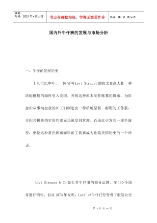 国内外牛仔裤的发展现状与市场分析