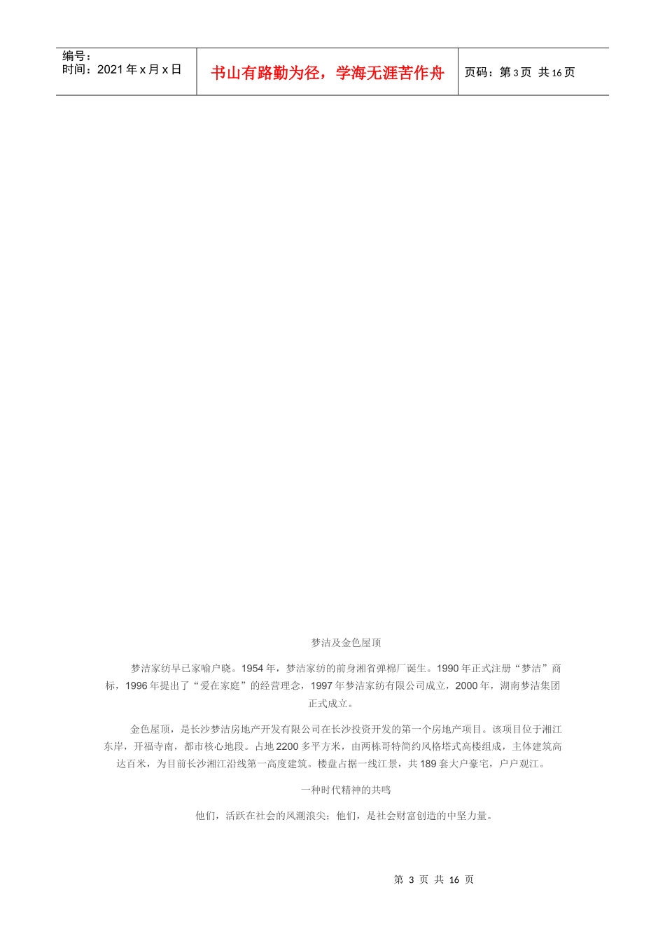 大户型营销策略_第3页