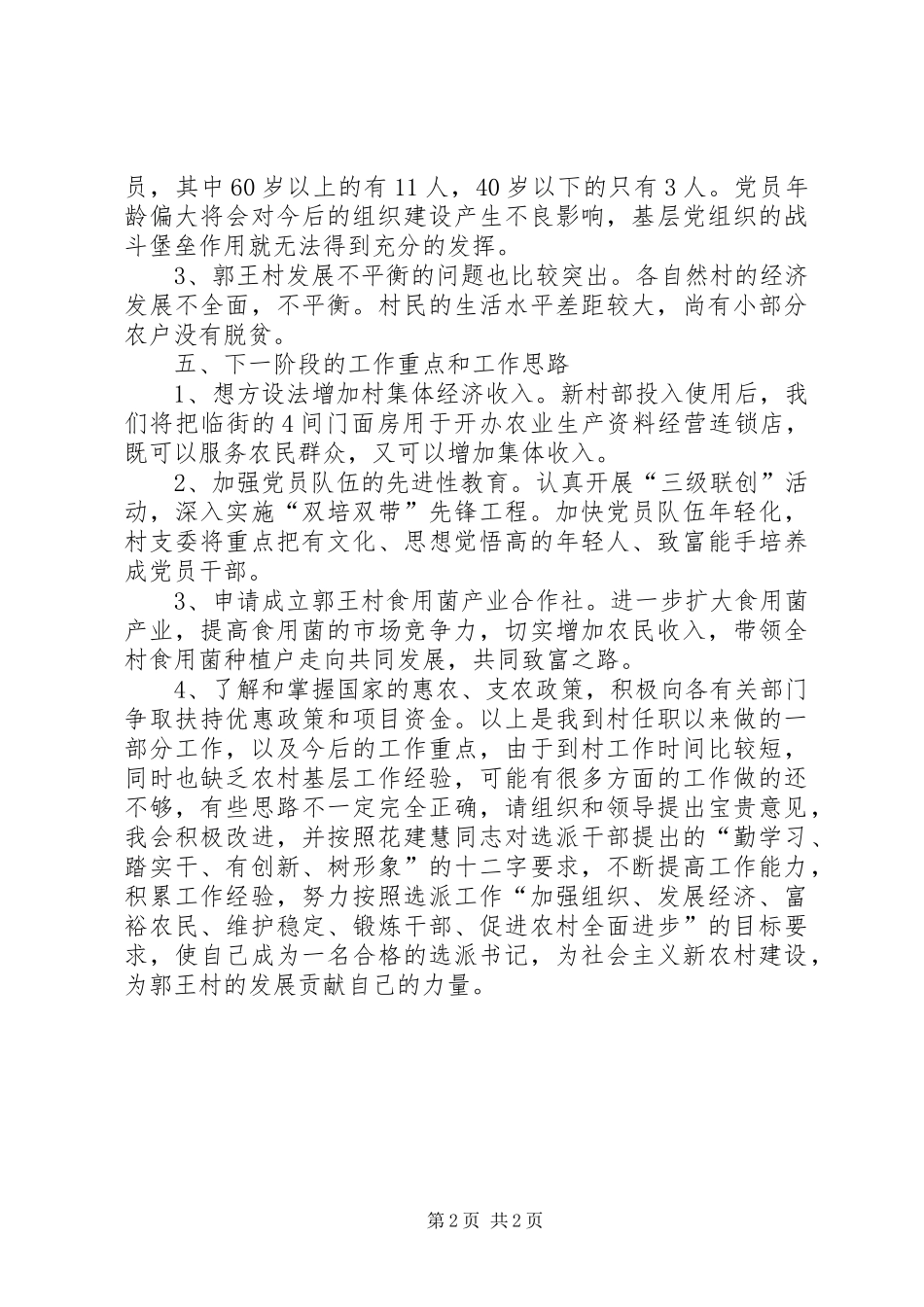 农村党委书记个人工作总结_第2页