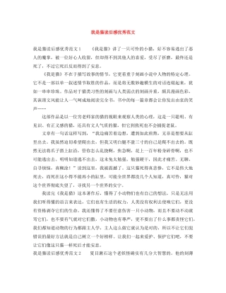 我是猫读后感优秀范文 