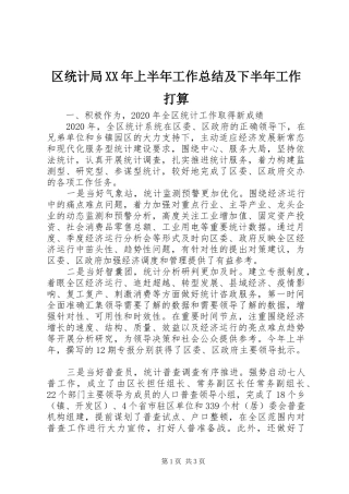区统计局XX年上半年工作总结及下半年工作打算