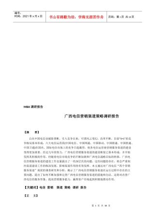 广西电信营销渠道策略调研报告样本