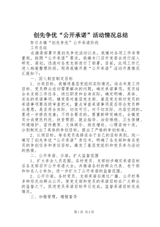 创先争优“公开承诺”活动情况总结