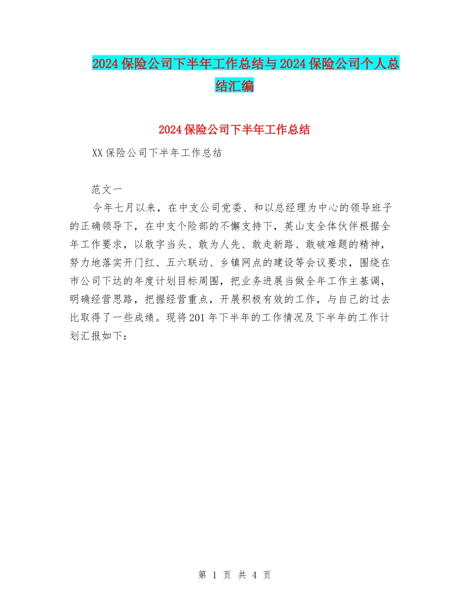 2024保险公司下半年工作总结与2024保险公司个人总结汇编_第1页