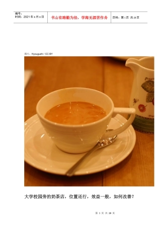 奶茶店开店攻略（DOC31页）