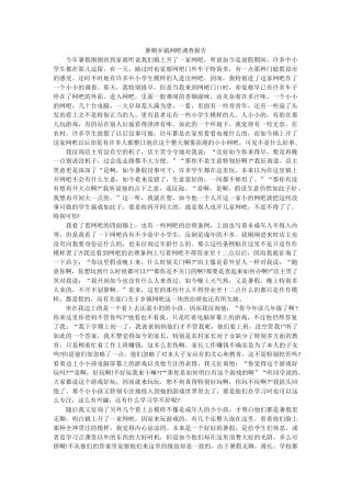 暑期乡镇网吧调查报告 