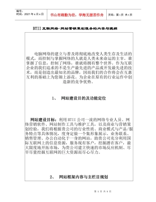 BTII互联网—网站营销策划服务的内容与提纲（DOC5）