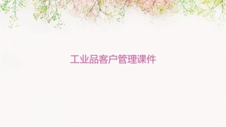 工业品客户管理课件