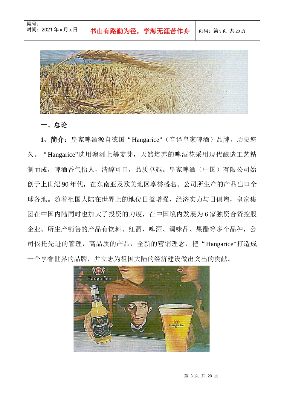 啤酒市场营销策划书范本_第3页