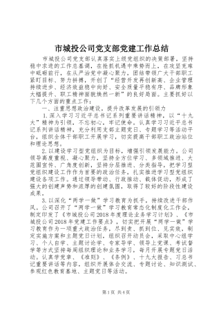 市城投公司党支部党建工作总结