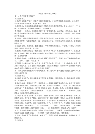 我发现了什么作文500字 