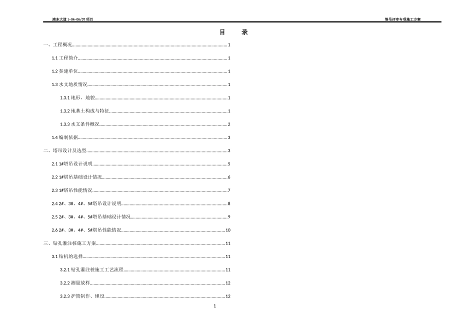 塔吊评审专项施工方案_第1页