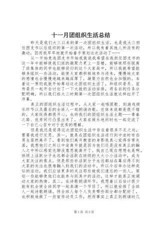 十一月团组织生活总结
