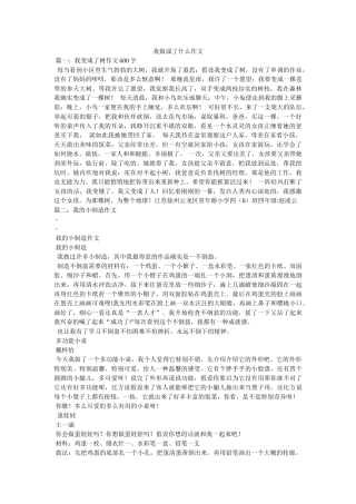 我做成了什么作文 