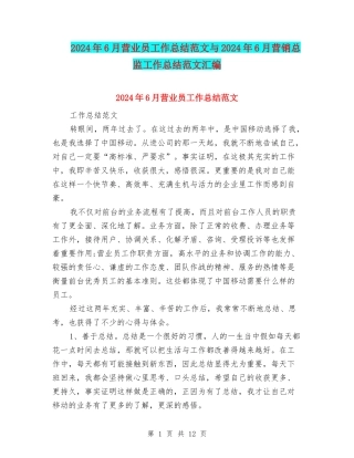 2024年6月营业员工作总结范文与2024年6月营销总监工作总结范文汇编
