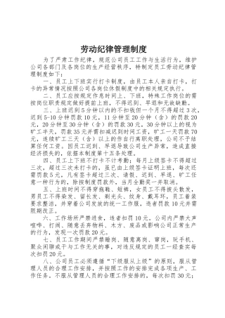 劳动纪律管理规章制度 (3)