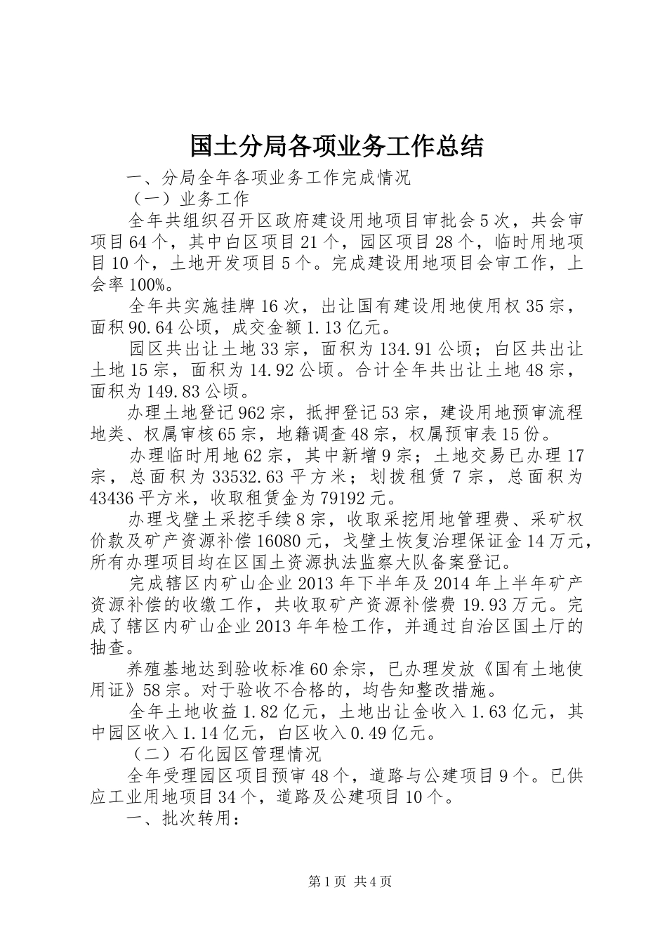 国土分局各项业务工作总结_第1页