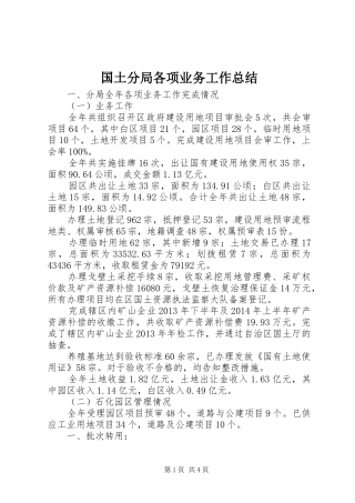 国土分局各项业务工作总结