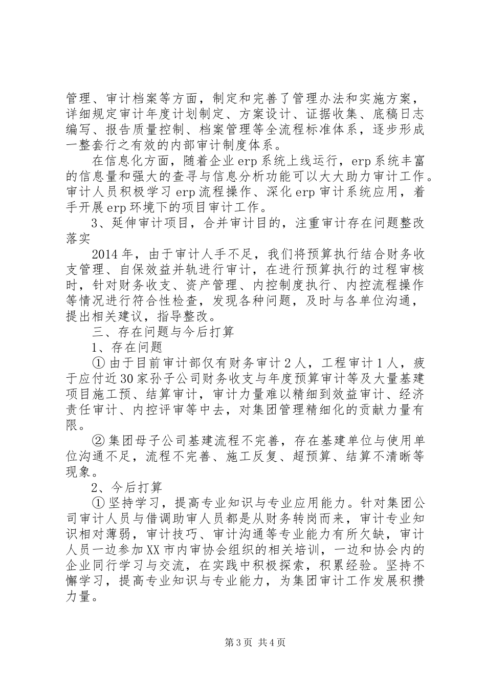 审计部年终工作总结_第3页