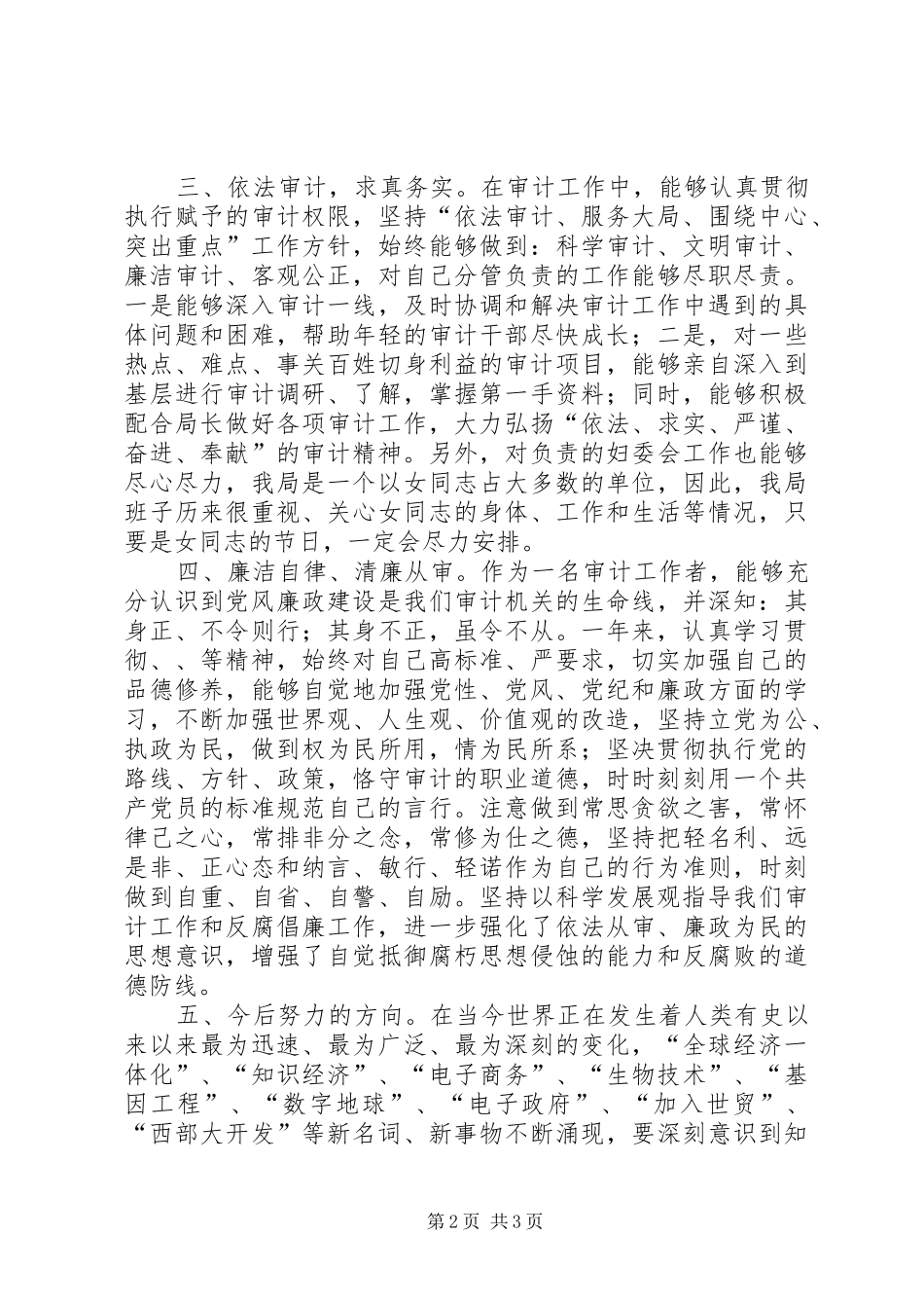 审计局人员个人工作总结_第2页