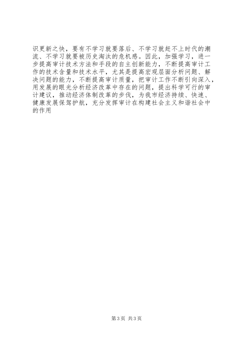 审计局人员个人工作总结_第3页