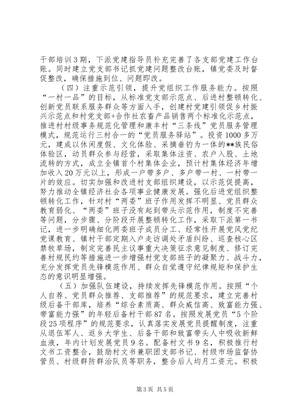 农牧村党支部建设标准化工作总结_第3页