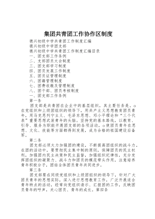 集团共青团工作协作区规章制度 