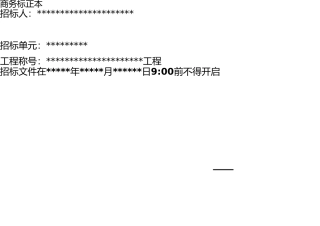 投标文件封皮格式 