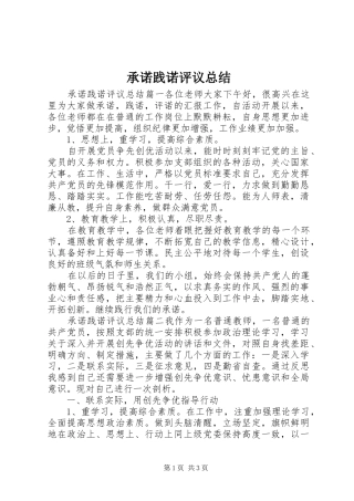 承诺践诺评议总结