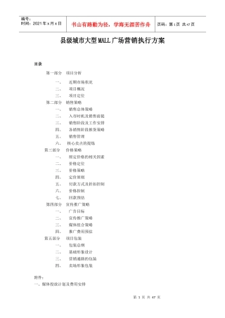 威远县县级城市大型MALL广场营销执行方案-47DOC
