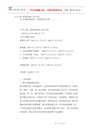 天空之都媒体投放推广执行方案