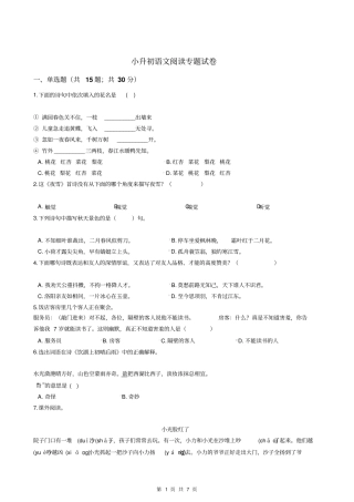 小升初语文阅读专题试卷