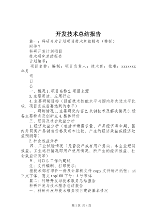 开发技术总结报告