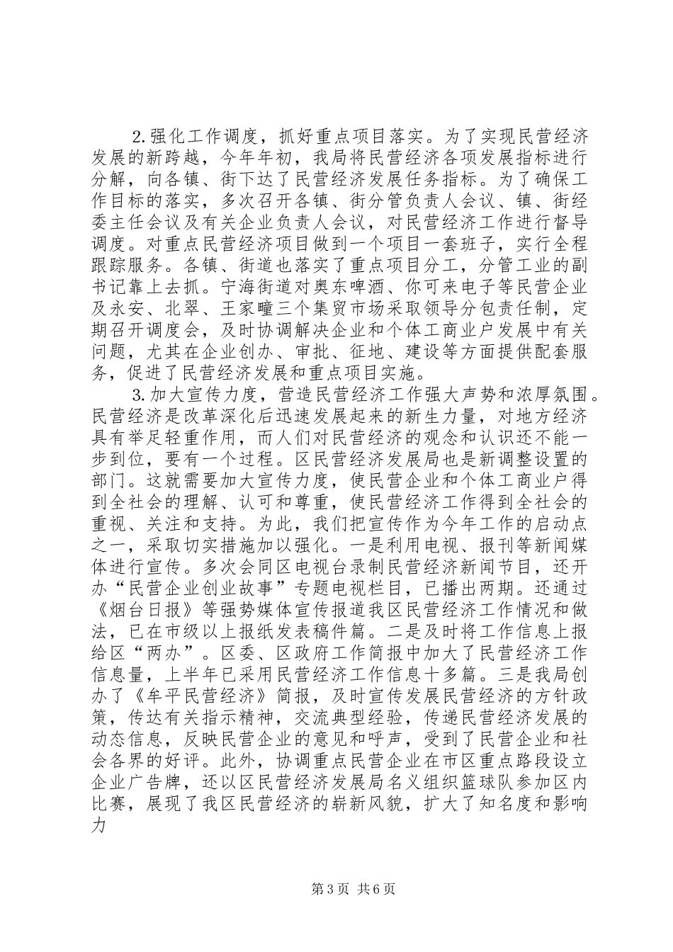 区民营经济上半年工作总结及下半年打算_第3页