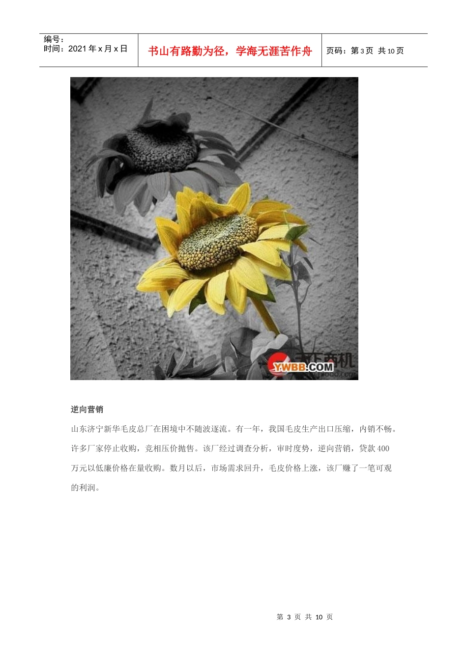 十大绝妙营销成功案例_第3页