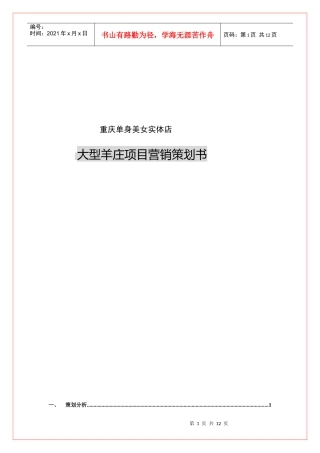 大型羊庄项目营销策划书