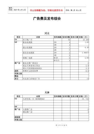 广告费及发布综合(1)