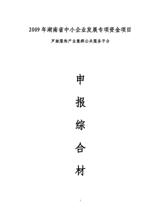 中小企业芦淞服饰产业集群公共服务平台综合材料