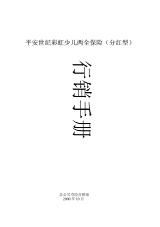 世纪彩虹行销手册