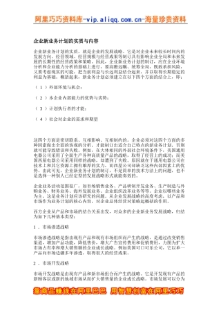 企业新业务计划的实质与内容（DOC23页）